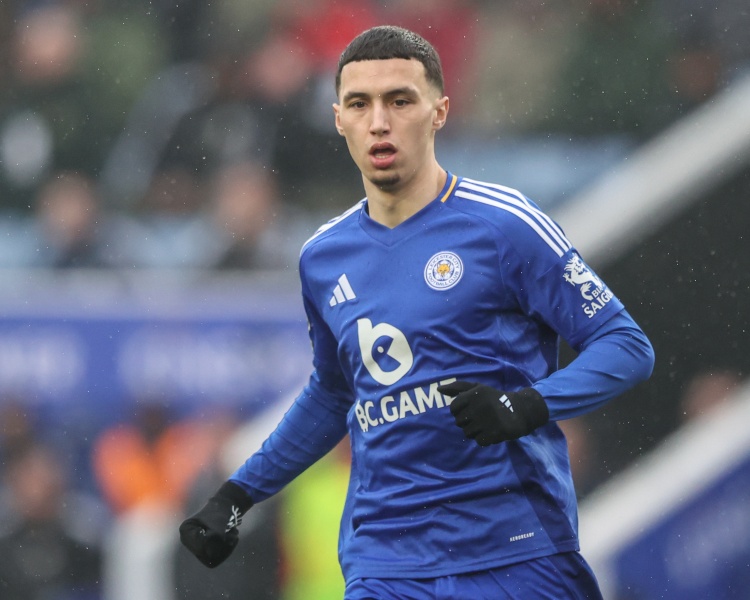 DO：水晶宫与蓝狐接洽谈埃尔哈努斯 转会可能取决于球员离队情况